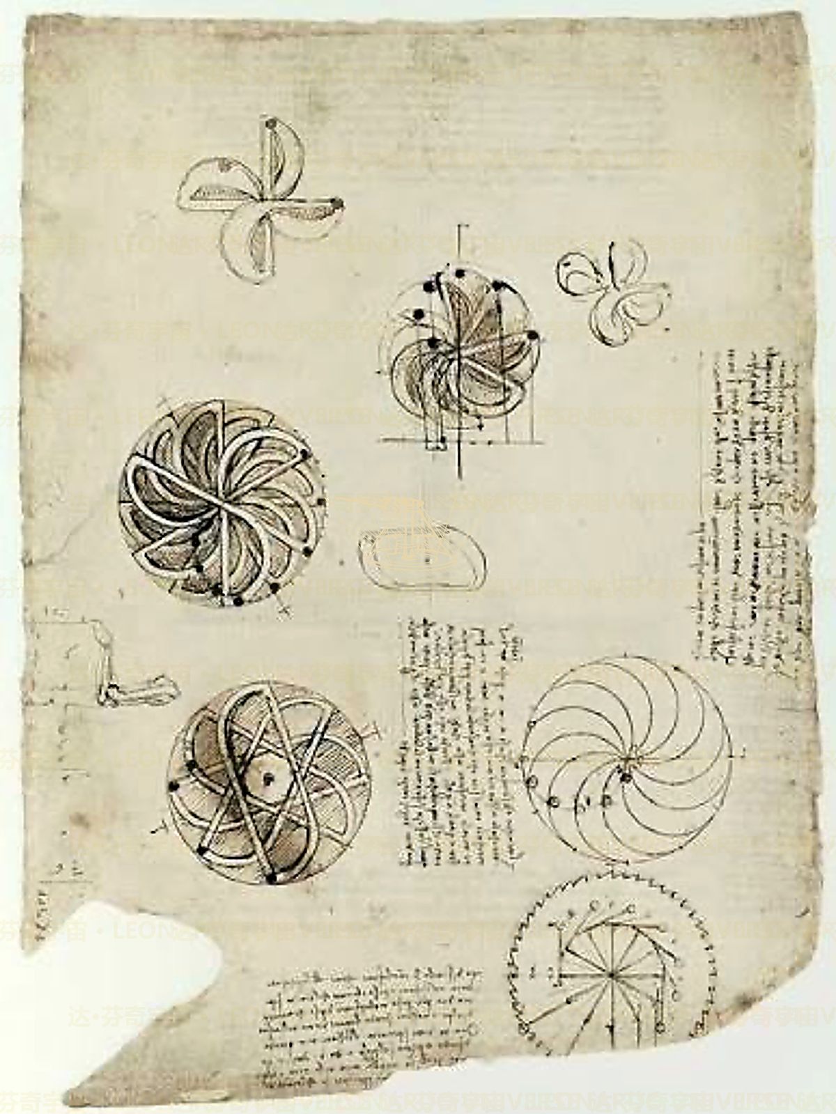 《齿轮钟表》 Orologio a ruote dentate