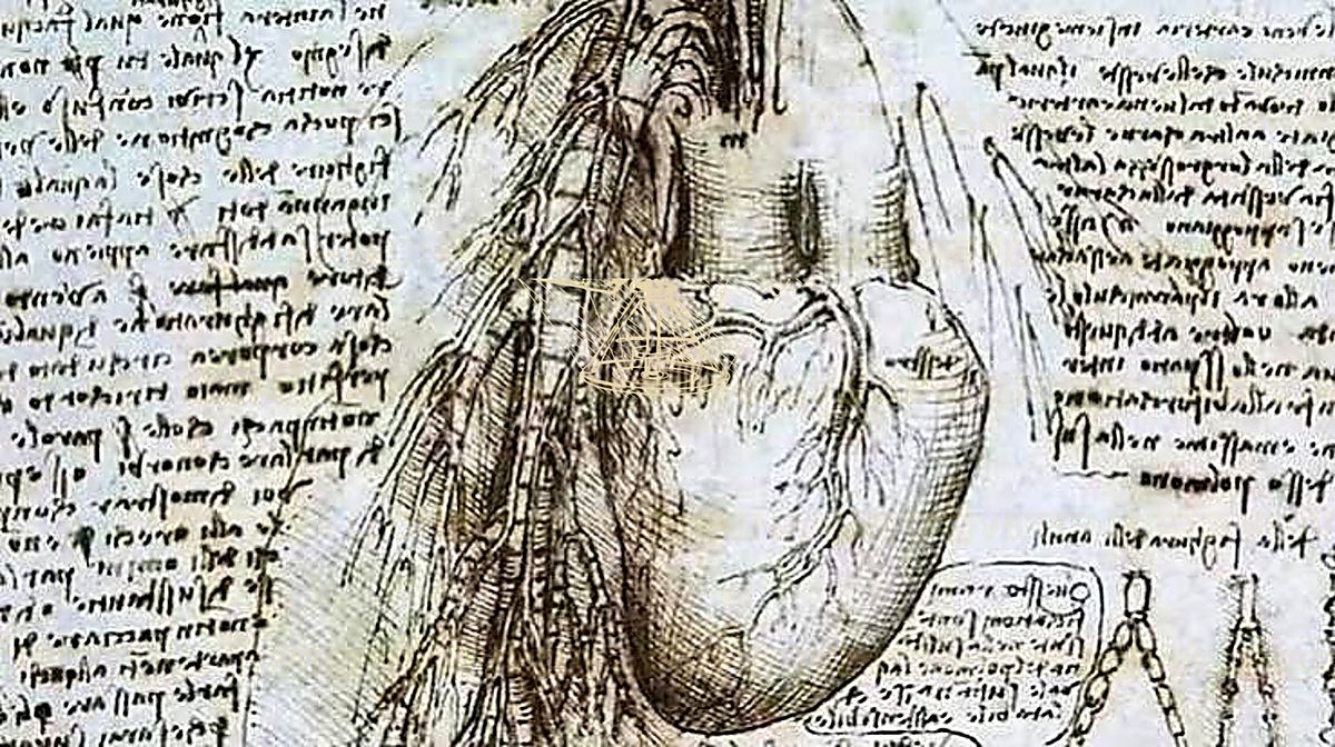 《面部肌肉研究》 Studio dei muscoli facciali
