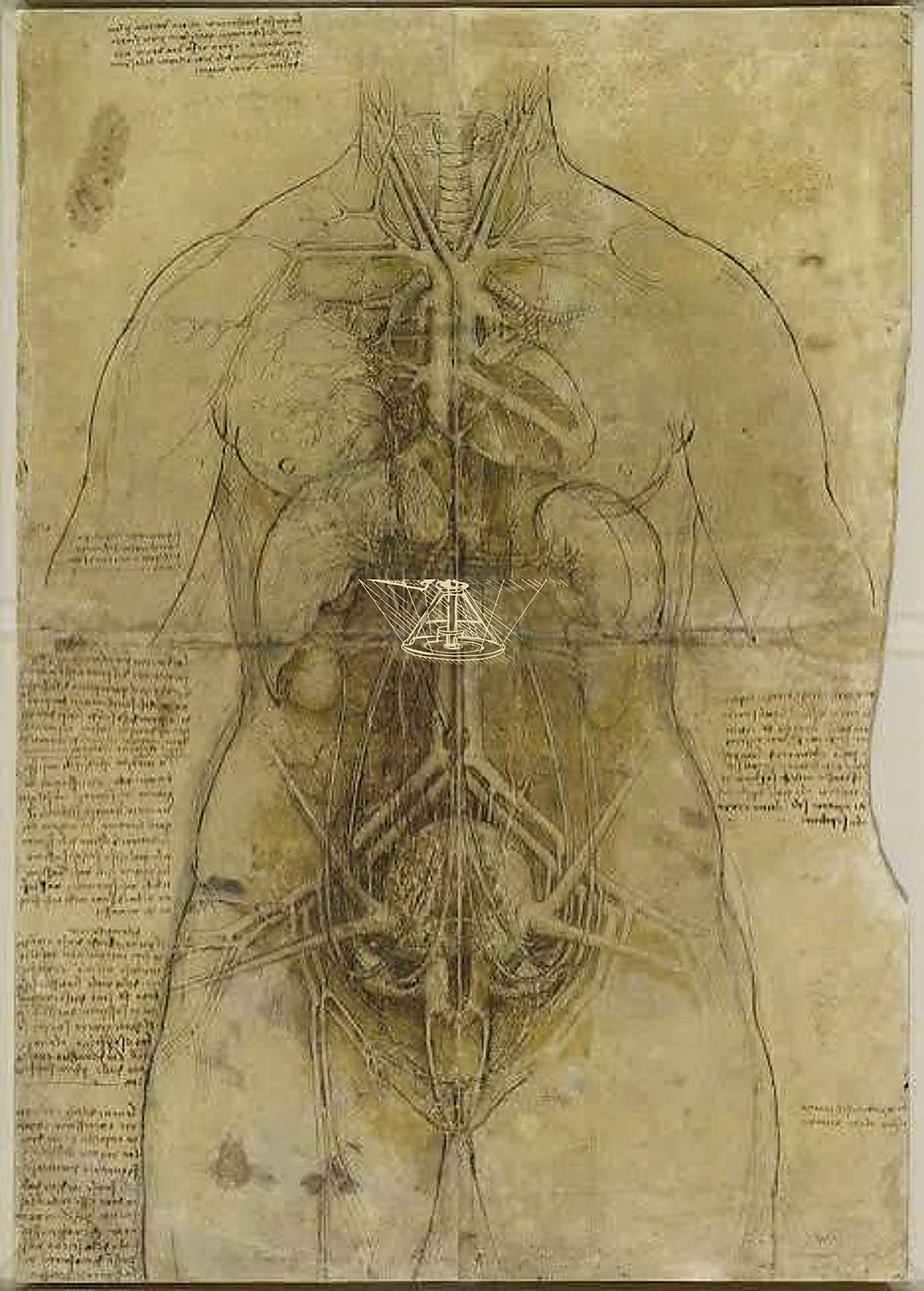 《眼睛结构图》 Studio dell’occhio e del nervo ottico