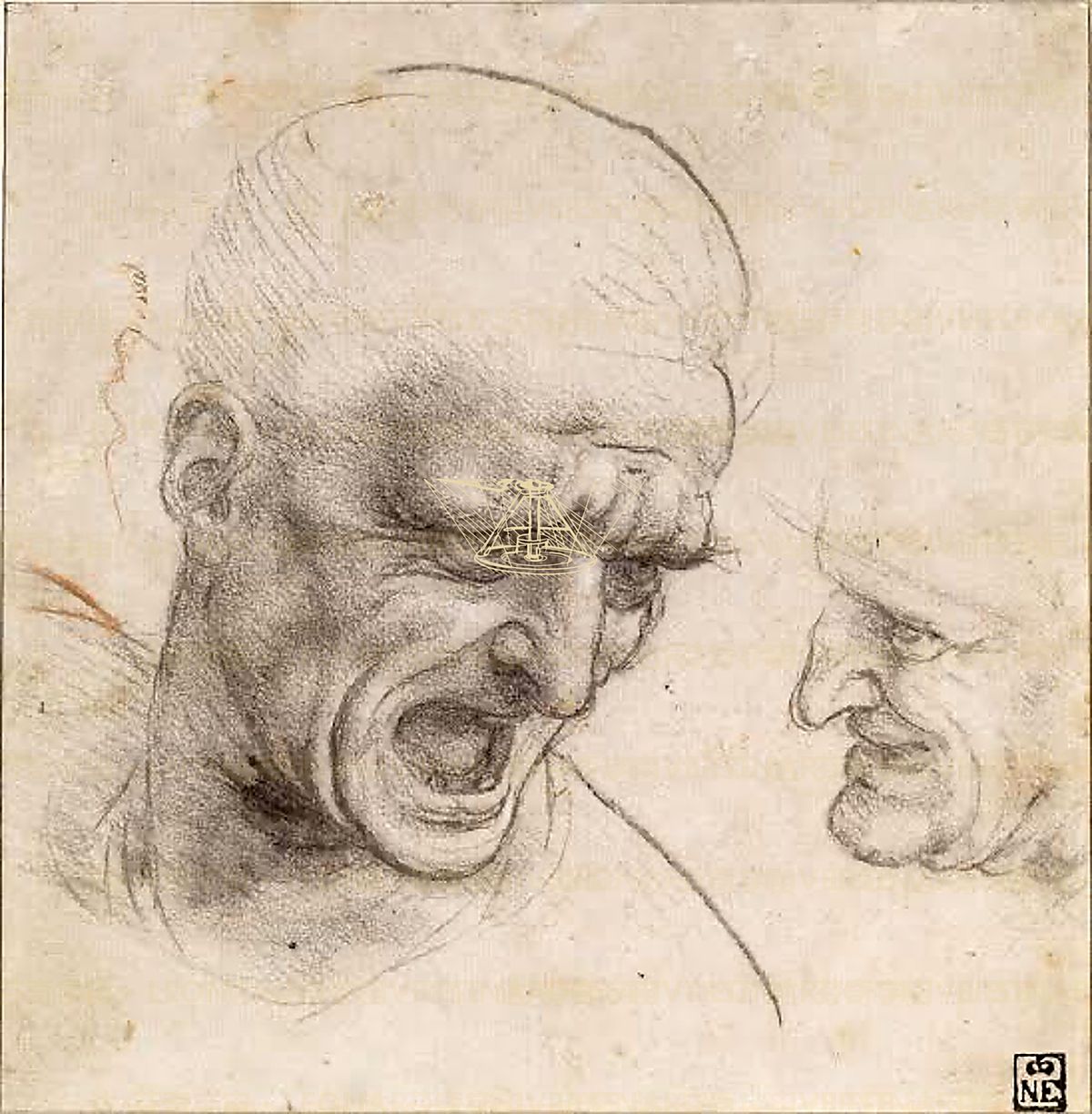 《肩部与颈部》 Spalla e collo – muscolatura