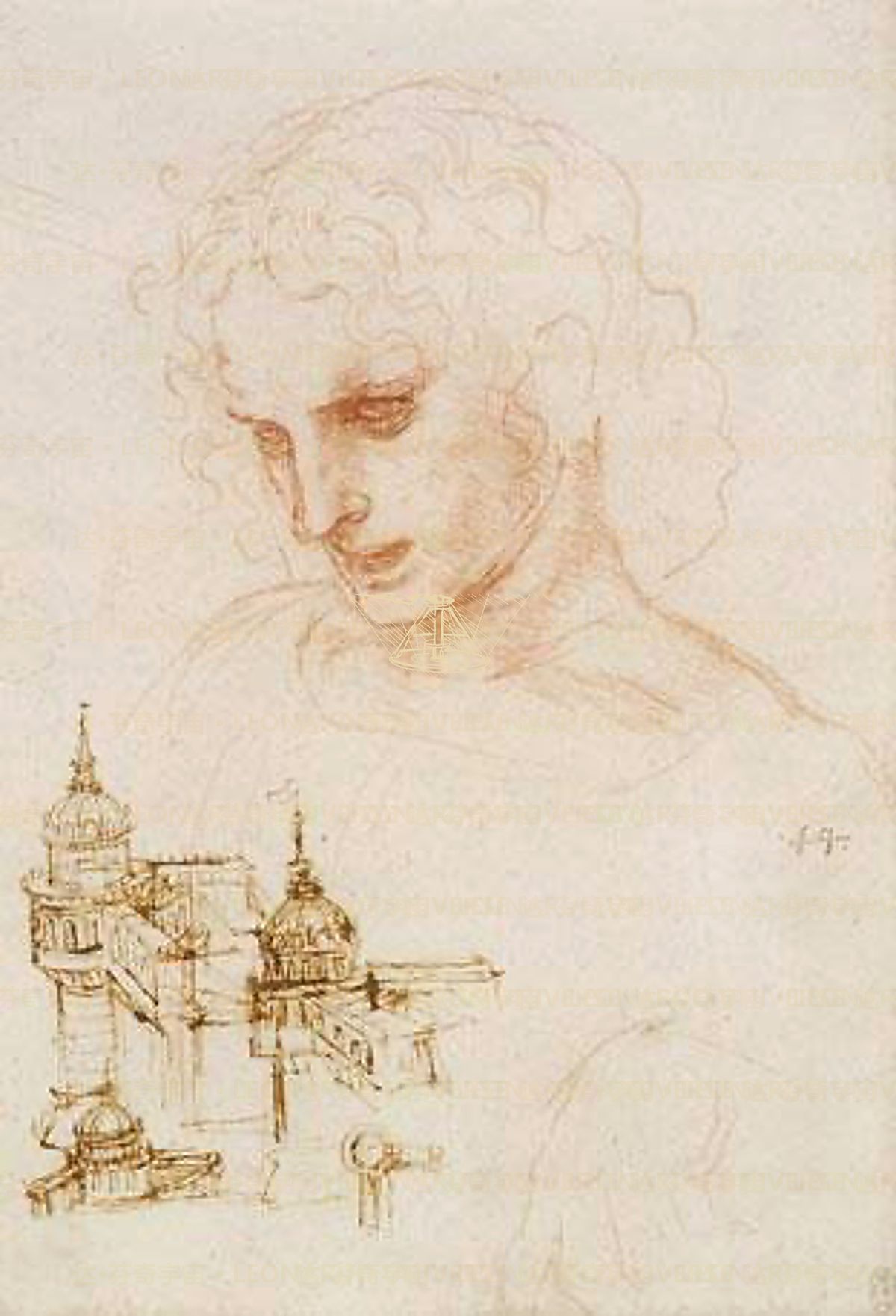《手部肌腱》 Tendini e legamenti della mano