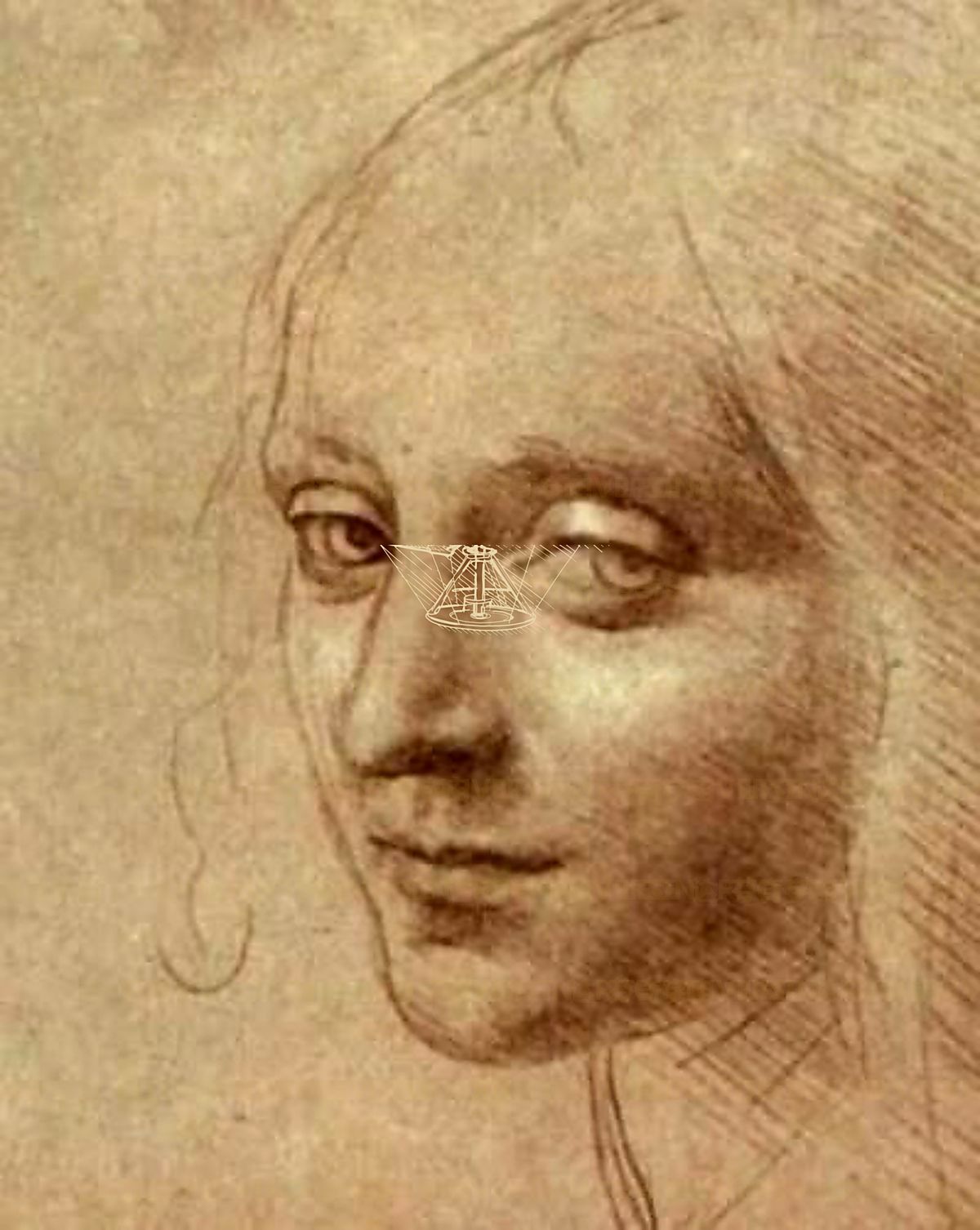 《少女头像》 Testa di giovane donna (La Scapigliata)