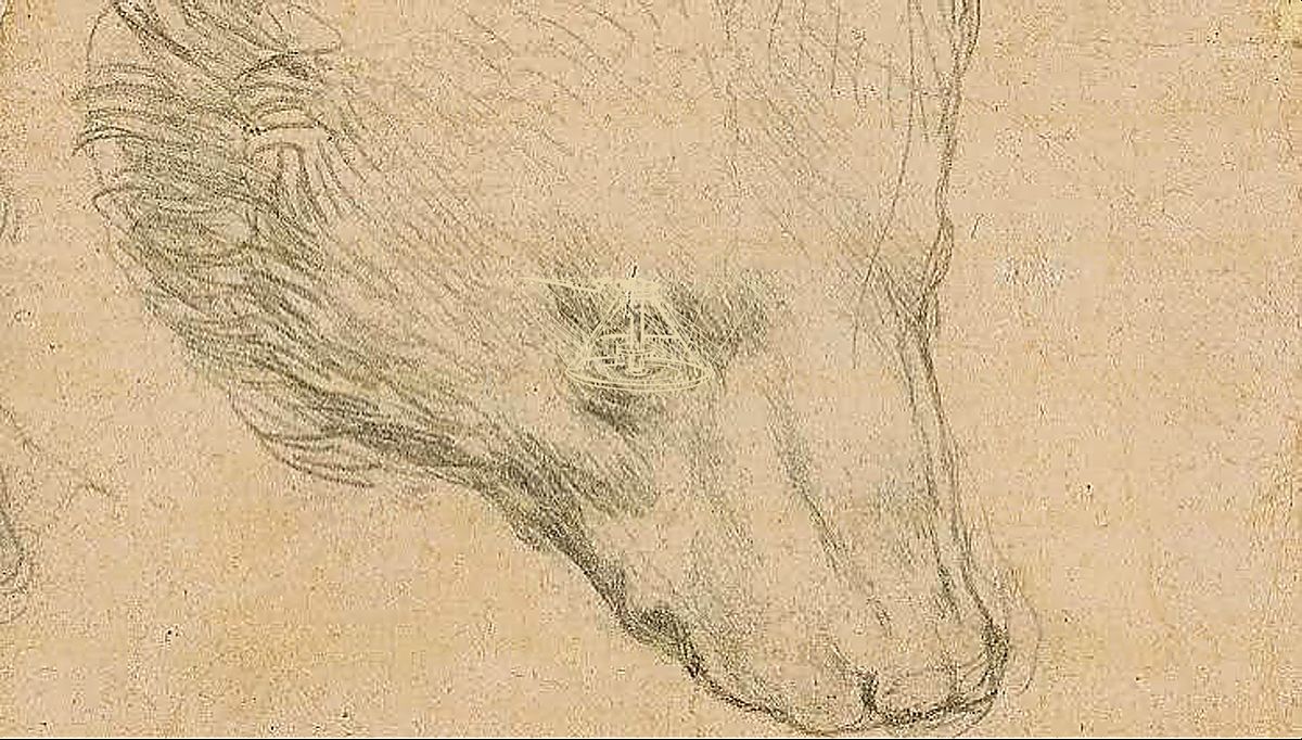 《动物解剖比较》 Anatomia comparata uomo-animali