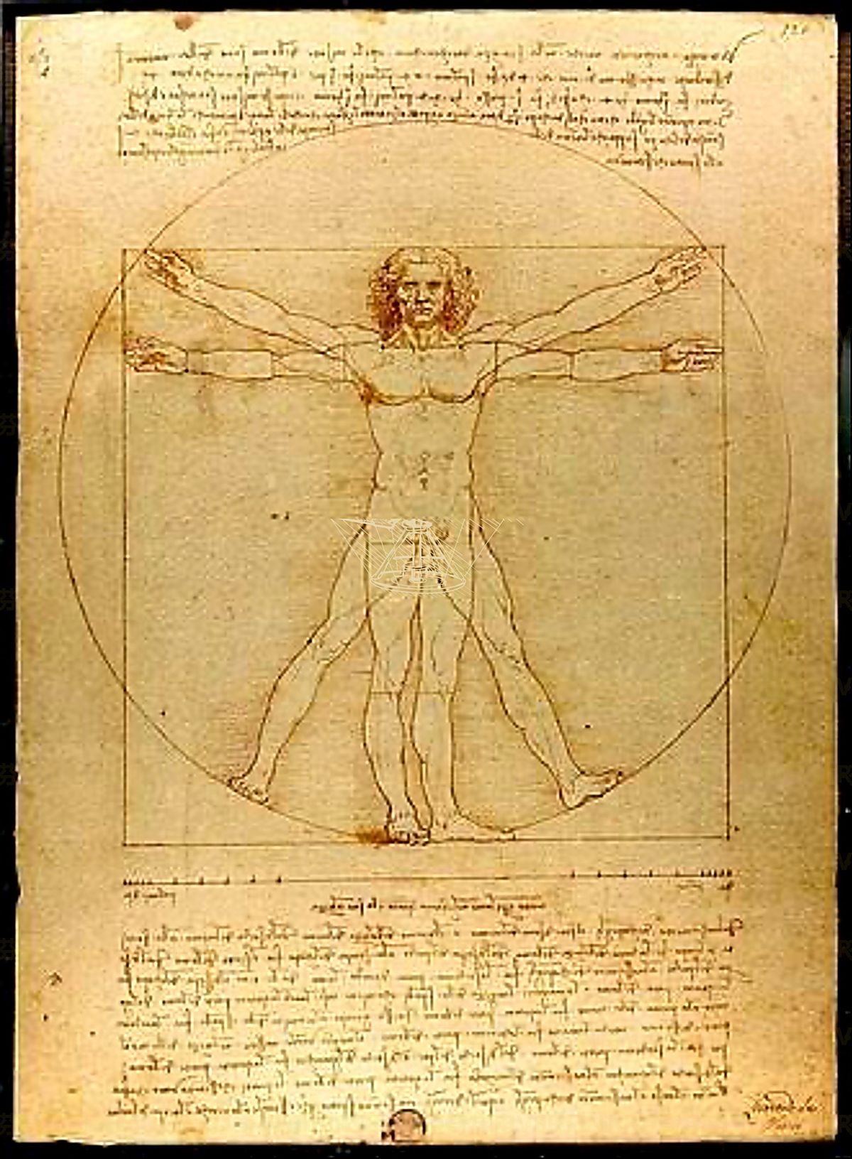 《呼吸与血液循环原理》 Principio della fisiologia respiratoria