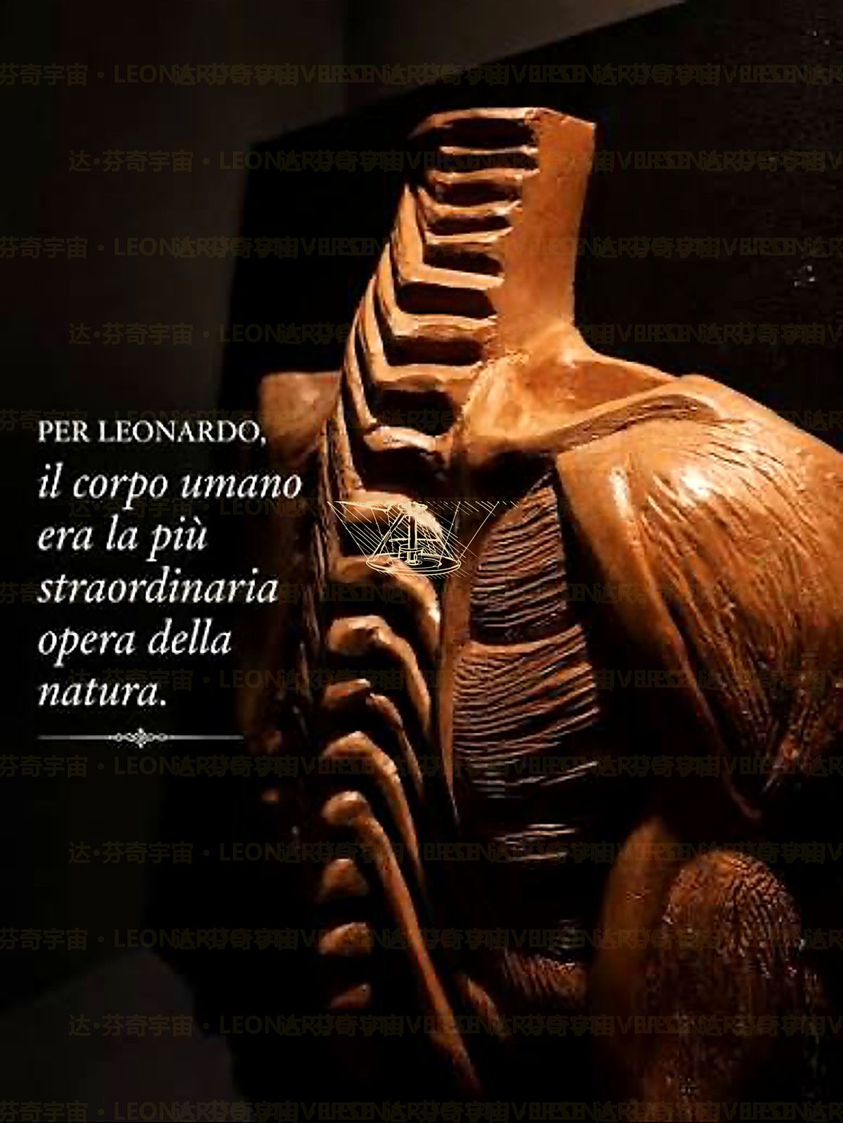 《人体解剖全景图》 Panorama anatomico completo