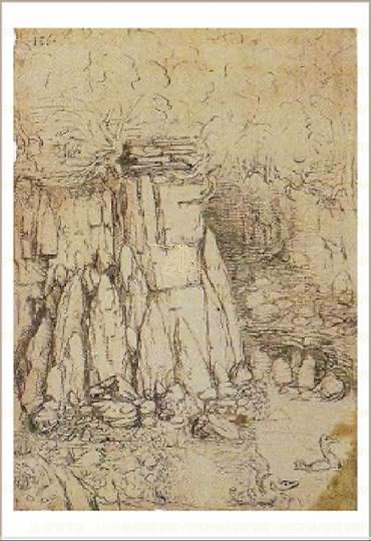 《花朵研究》 Studio di fiori e corolle
