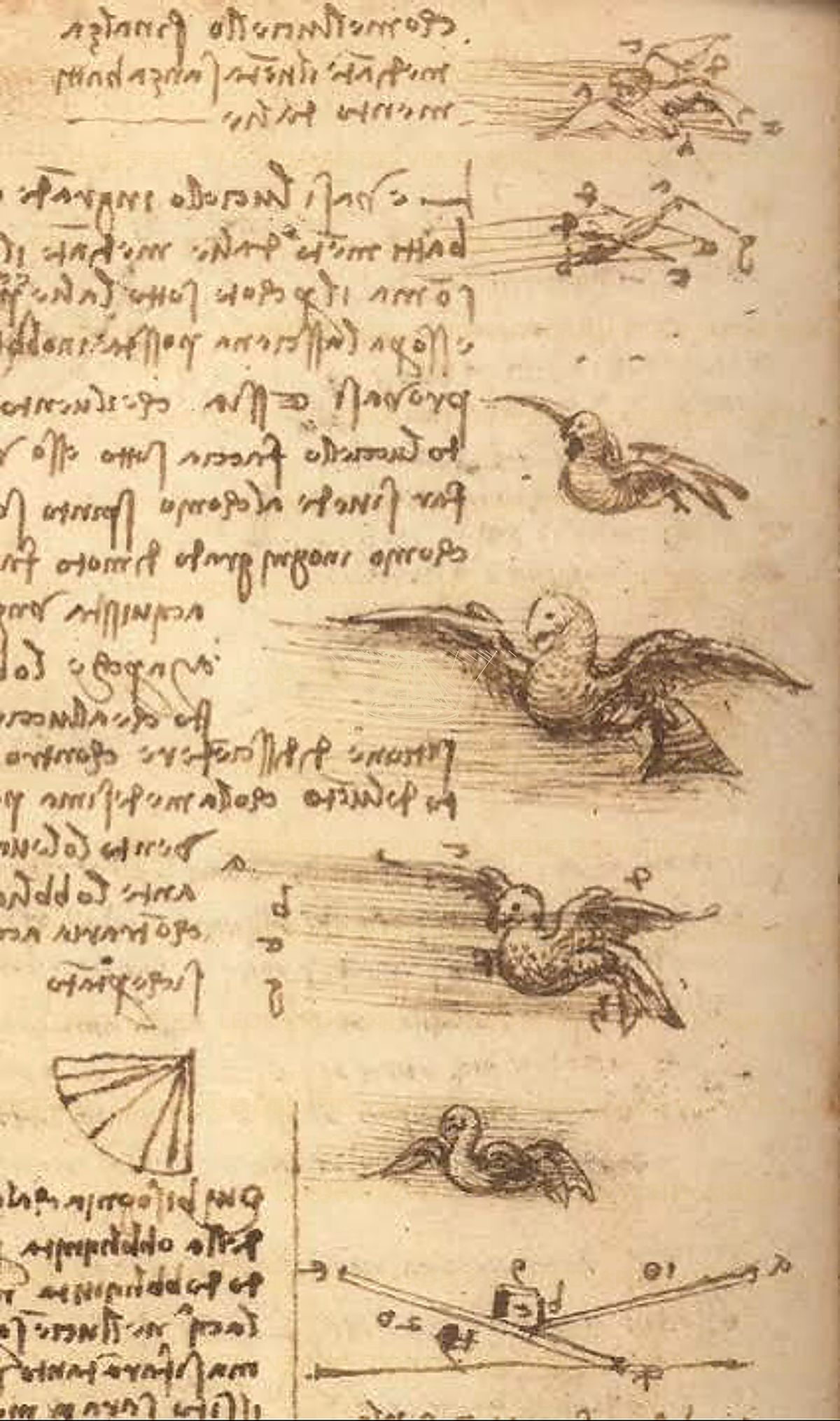 《月球表面研究》 Osservazione del volto lunare