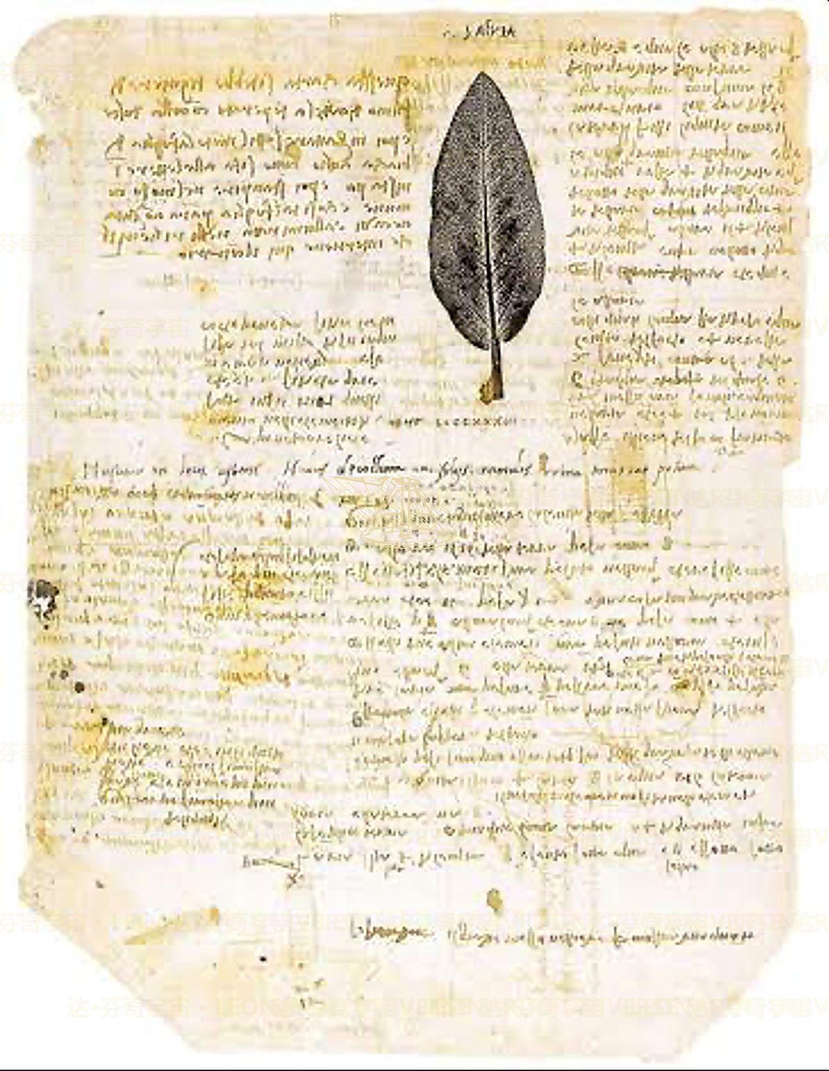 《自然循环》 Diagramma del ciclo naturale