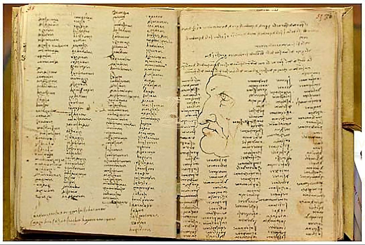 《阿特兰蒂科手稿》 Codice Atlantico – selezione tematica