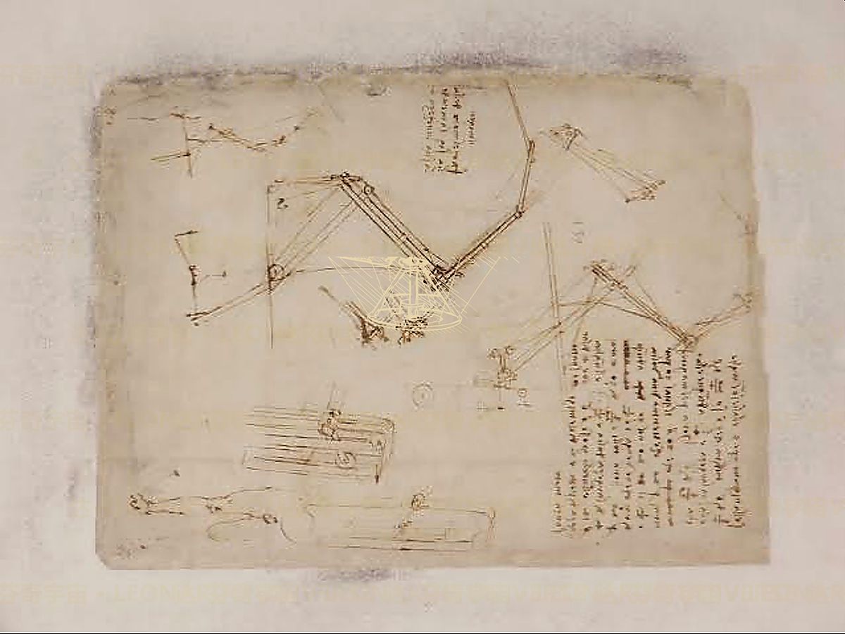 《贝壳与比例》 Studio matematico delle conchiglie