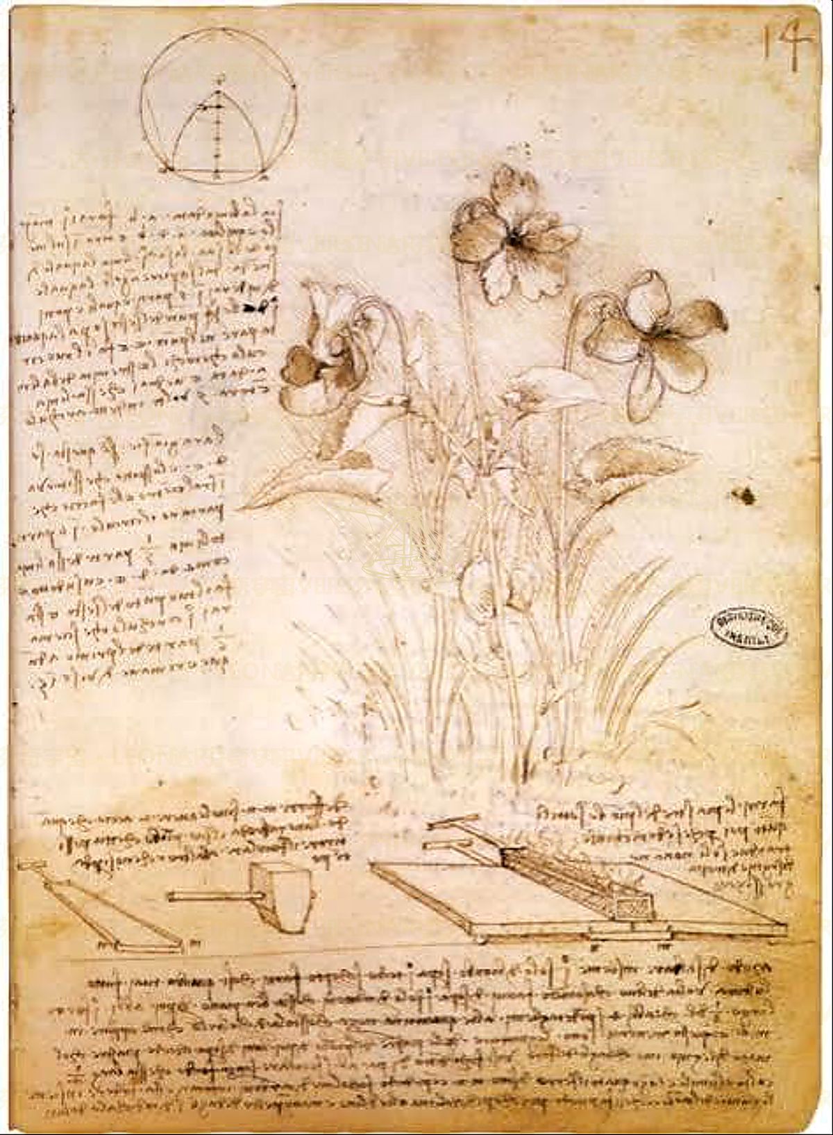 《自然循环动画》 Animazione “Ciclo della vita”