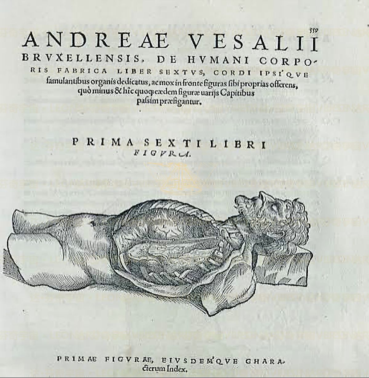 《雅典学院》 Scuola di Atene (Raffaello – dettaglio Leonardo)