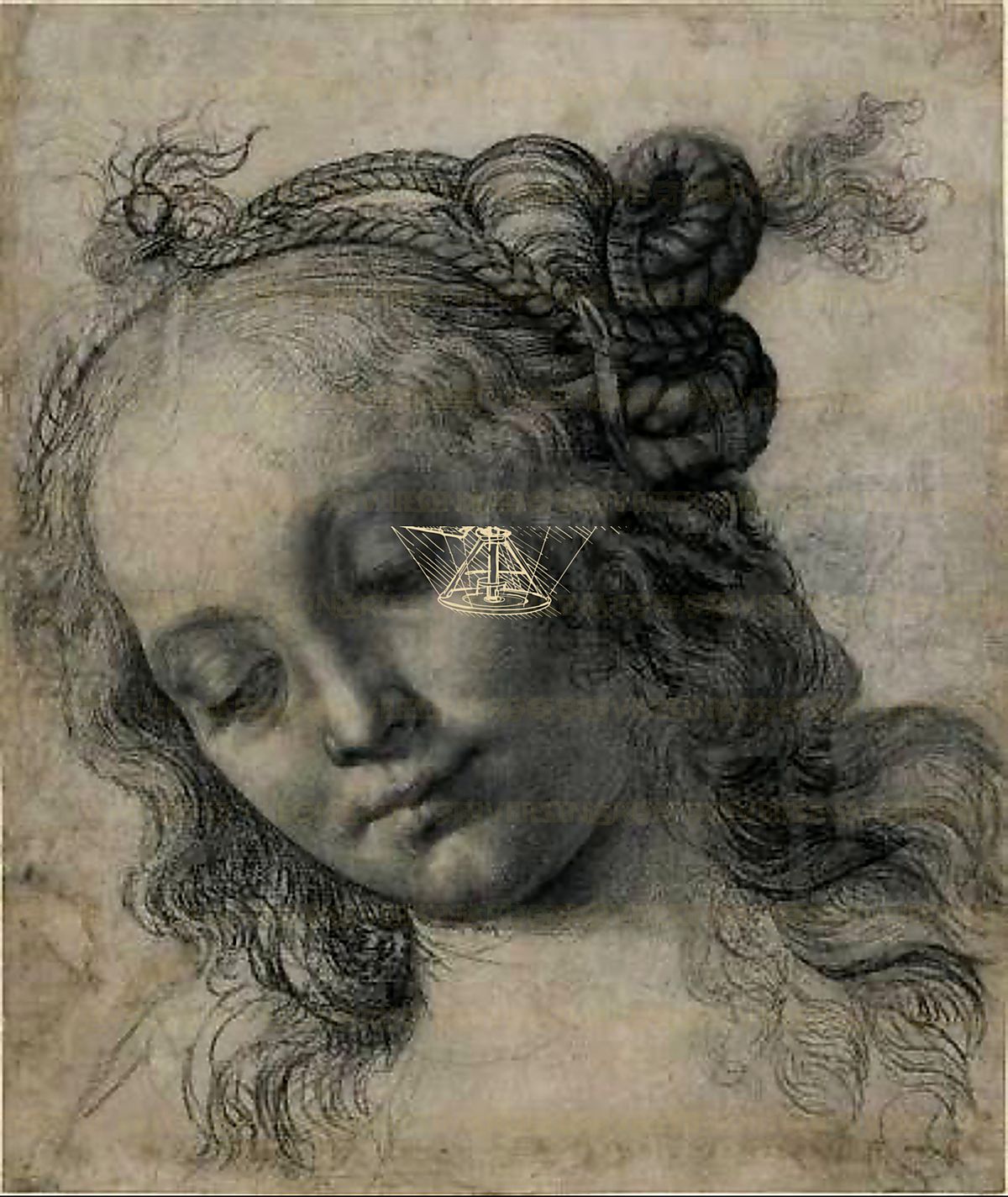 《解剖比较》 Anatomia comparata Leonardo–Vesalio