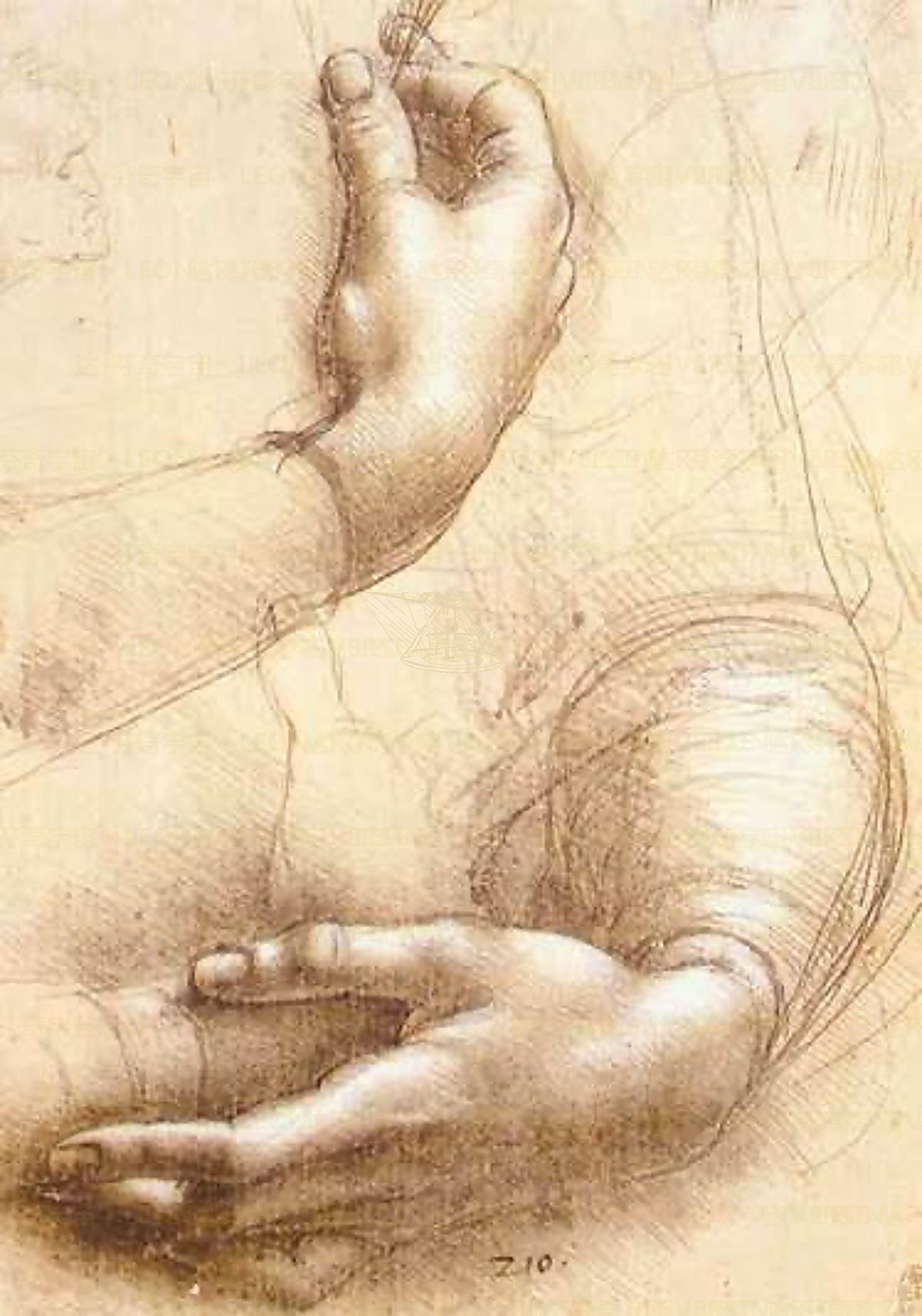 《施洗者圣约翰研究》 Studio per San Giovanni Battista