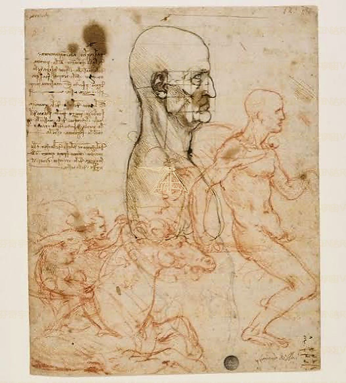 《湖畔山丘景观》 Studio di paesaggio lombardo