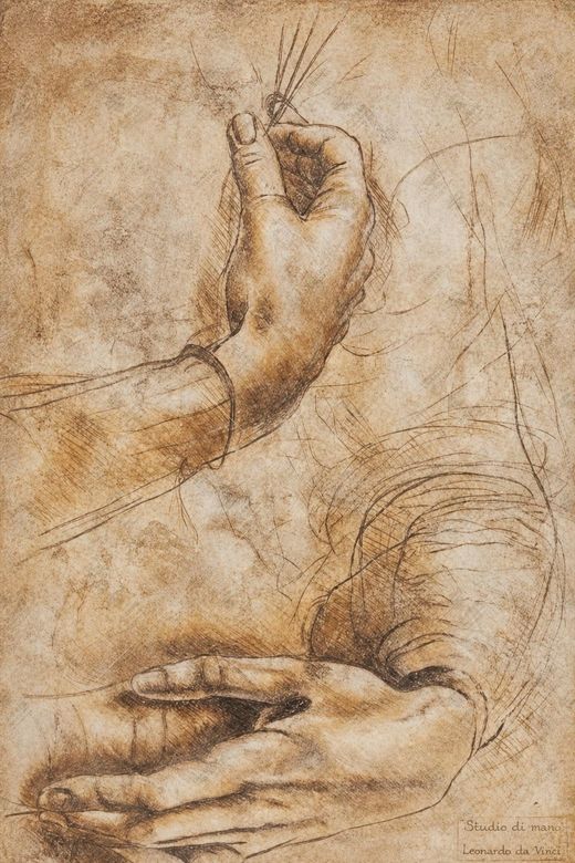 《手部肌腱》 Tendini e legamenti della mano
