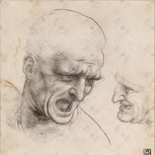 《表情肌研究》 Muscoli dell’espressione facciale