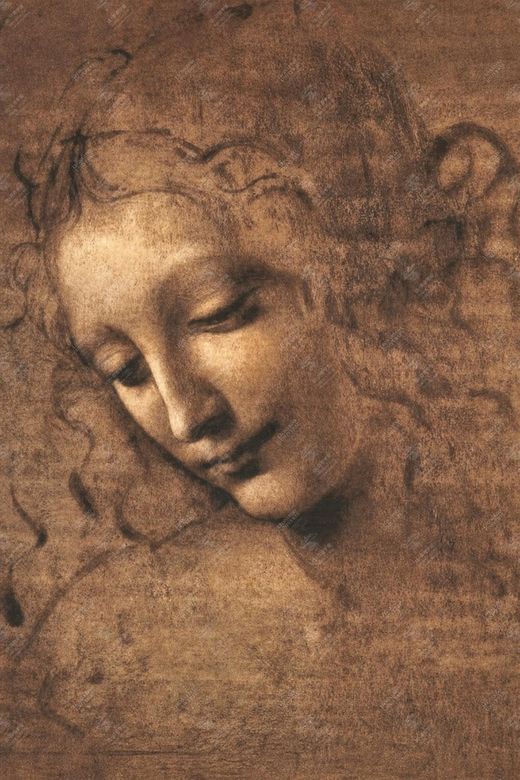 《少女头像》 Testa di giovane donna (La Scapigliata)