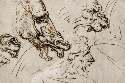 《动物解剖比较》 Anatomia comparata uomo-animali
