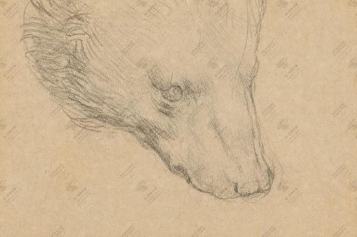 《动物运动》 Movimento animale (serie di studi)