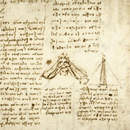 《呼吸与血液循环原理》 Principio della fisiologia respiratoria