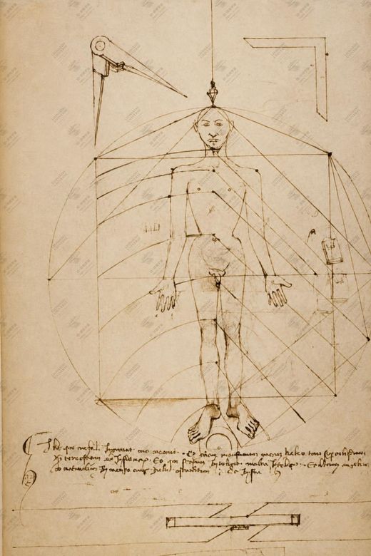 《人体比例》 Proporzioni del corpo umano