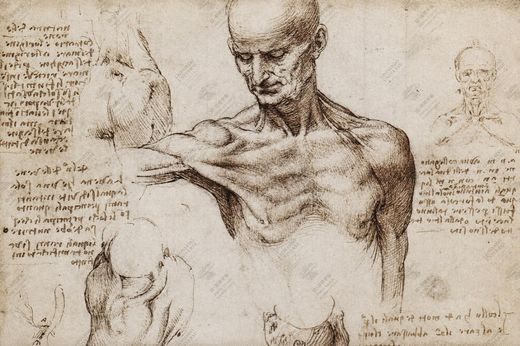 《人体动态研究》 Studio del movimento umano