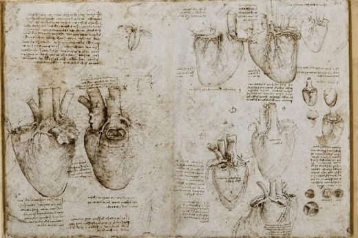 《生物学手稿页选》 Facsimili dai Codici Anatomici