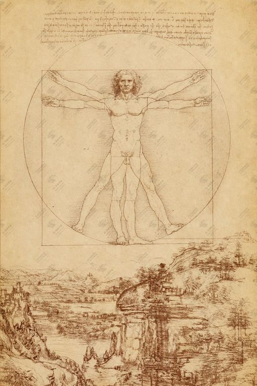 《达·芬奇科学理念》 Pannello: la scienza come arte