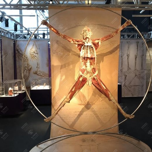 《互动解剖体验》 Installazione interattiva AR “Corpo umano”