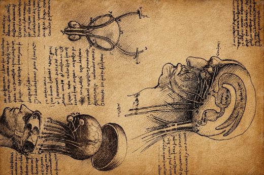 《神经系统VR体验》 VR sistema nervoso umano