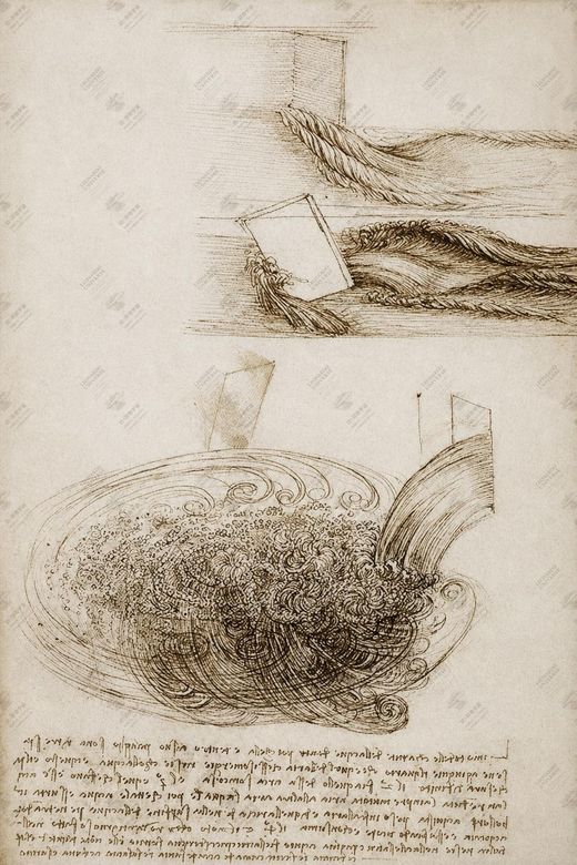《水流与植物》 Relazione tra acqua e crescita