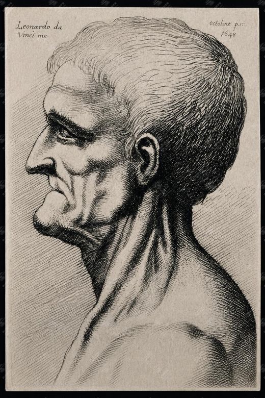 《老年男子肖像》 Ritratto di uomo anziano