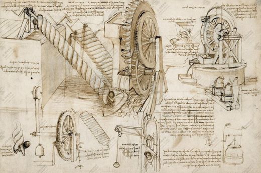 《自然观察笔记》 Pagine dai Codici di botanica e geologia