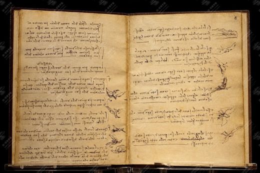 《飞鸟手稿》 Codice sul volo degli uccelli