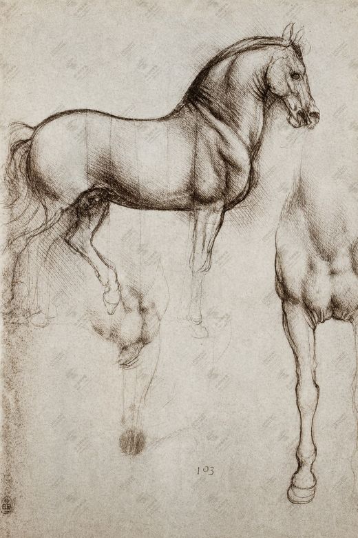《战马研究》 Studio per il cavallo del monumento Sforza