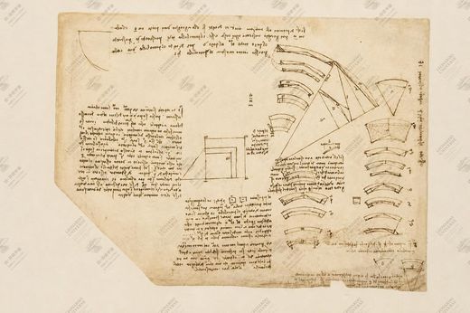 《自然循环动画》 Animazione “Ciclo della vita”