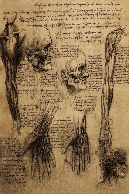 《达·芬奇哲学思想》 Pannello: il pensiero filosofico di Leonardo