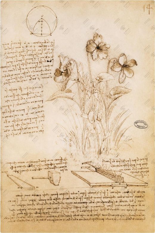 《自然与人类的和谐》 Conclusione: l’armonia tra uomo e natura