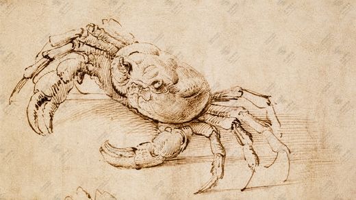 《自然与生态》 Natura, ecologia e sostenibilità