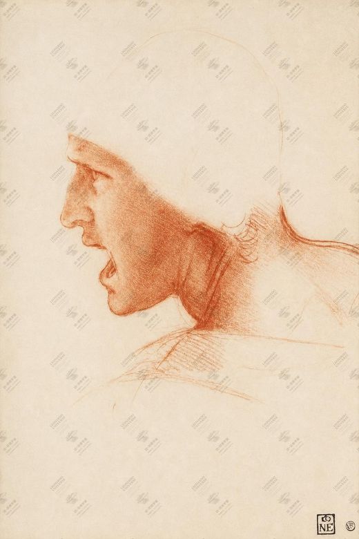 《头部光影研究》 Studio di chiaroscuro
